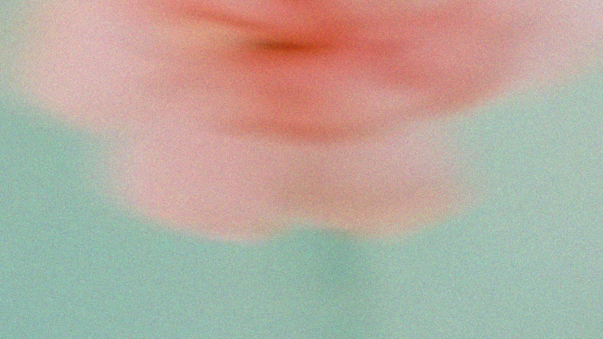 Custom Reports & Export Options