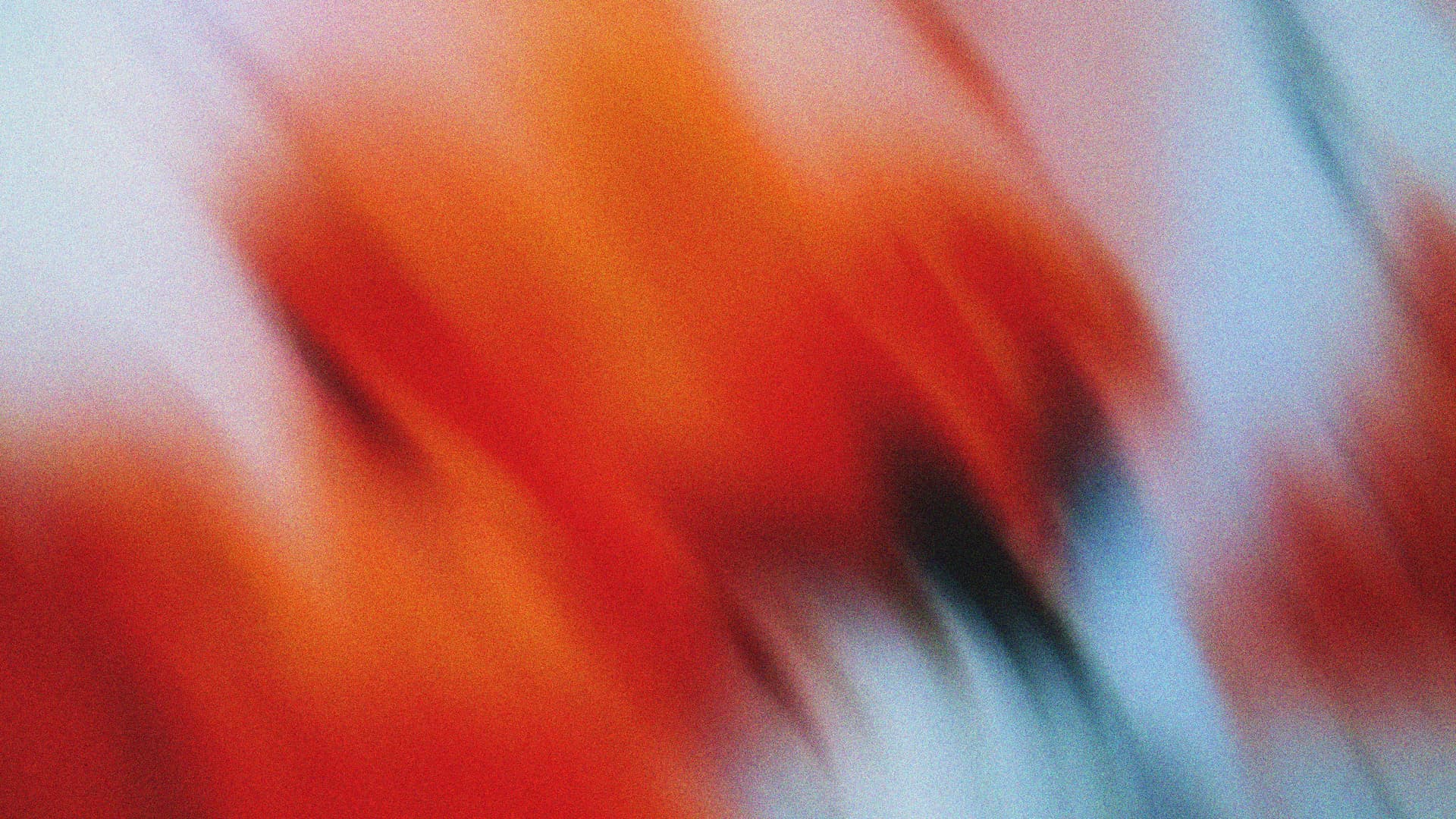 Financial Management Background