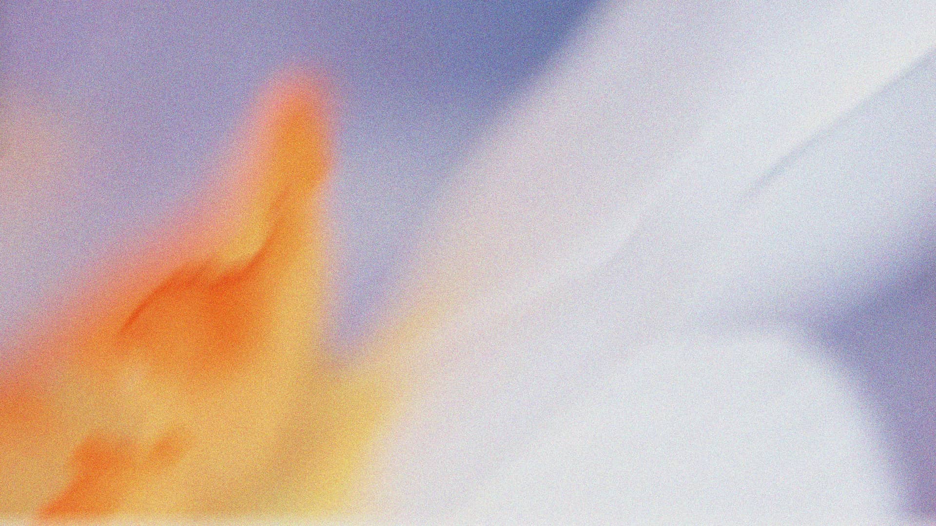 Custom forms and assessments