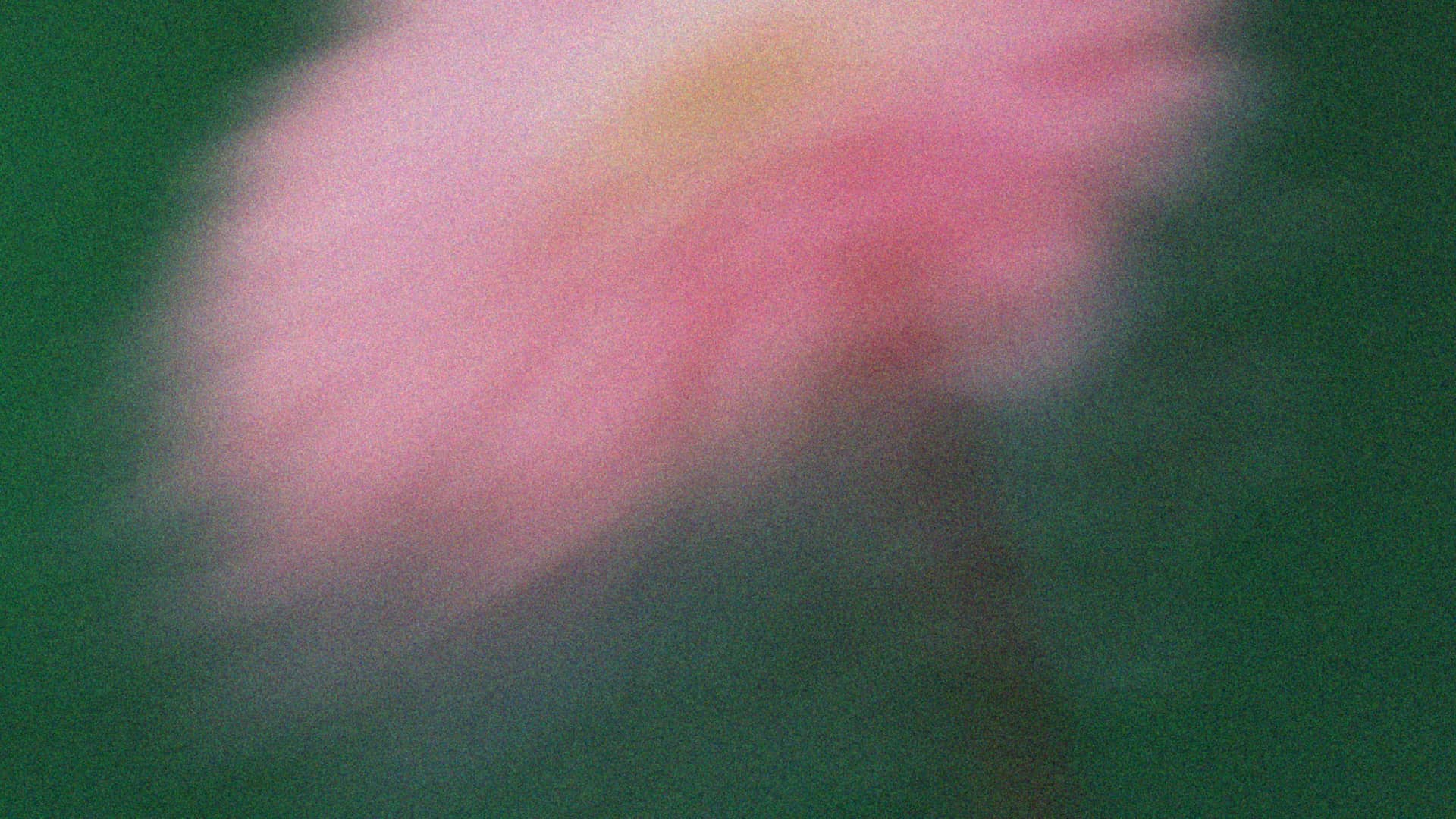 Care management platform