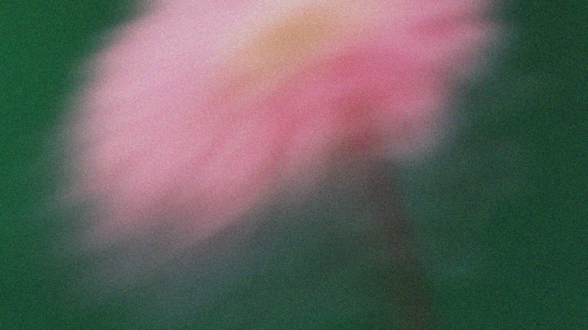 Getting Started with NDIS Management